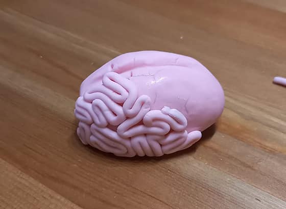 modeler un cerveau - continue
