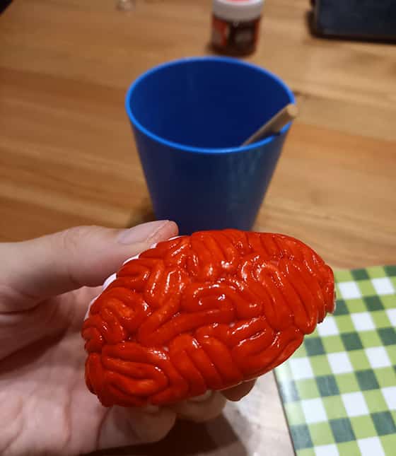 modeler un cerveau - fini