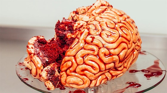 modeler un cerveau
