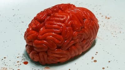 Comment modeler un cerveau ?