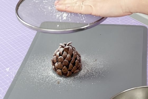 La Pomme de pin au chocolat pour sublimer vos desserts ! 4